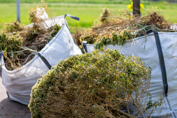 Best Garage Cleanout Services  in Maysville, KY